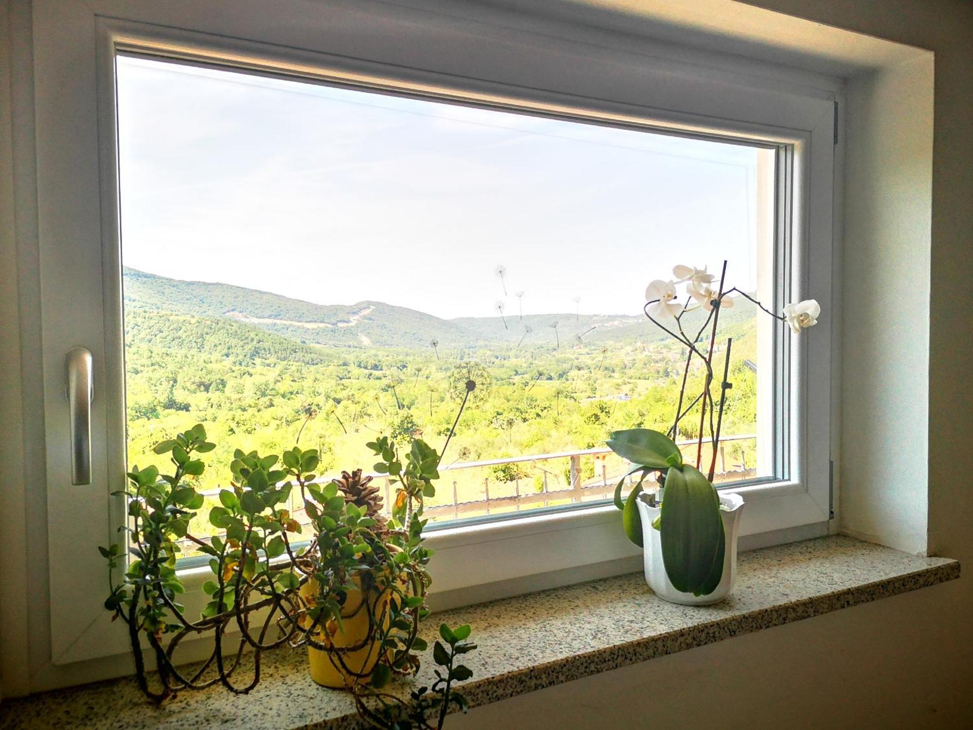 Apartment Apartma Ceh *